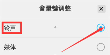 vivo NEX雙屏版怎么調(diào)節(jié)音量大小? 