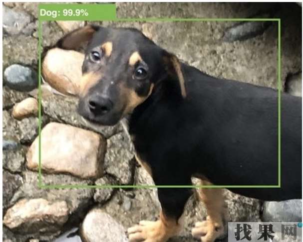 蘋果iOS 13或將加入AI拍照識別功能