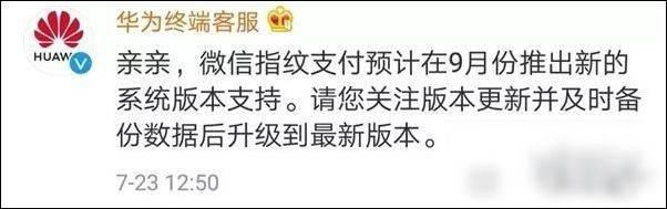 本來(lái)華為手機(jī)一向不支撐微信指紋付出,是這個(gè)原因