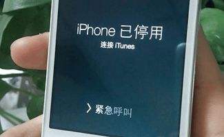 蘋果手機已停用