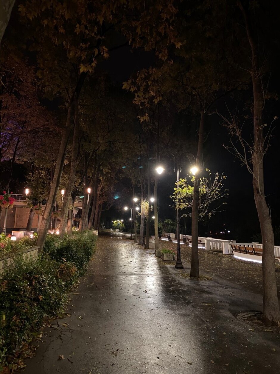 iPhone 11 Pro Max - Night Mode Camera Comparison