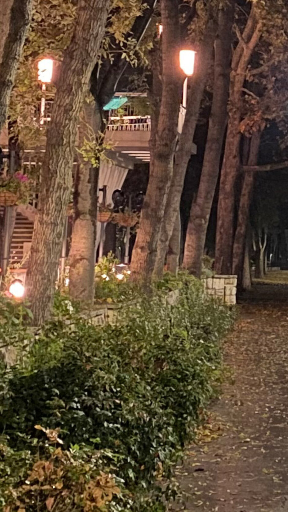 iPhone 11 Pro Max - Night Mode Camera Comparison