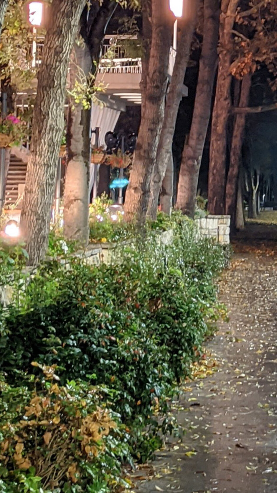 Pixel 4 XL - Night Mode Camera Comparison
